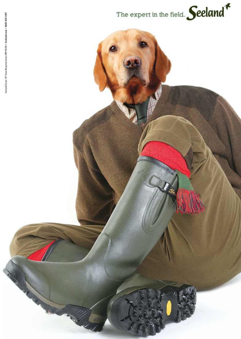 seeland print advert